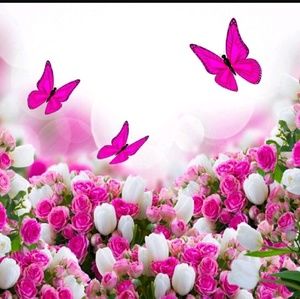 Meet your Posher, Shana